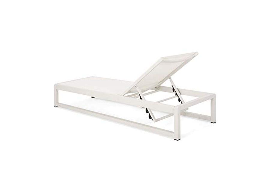 Christopher Knight Home Eudora Outdoor Chaise Lounge (Set of 2), White
