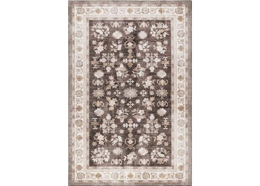 Rugs USA x Lauren Liess Dayflower Vintage Machine Washable Area Rug, 8x10, Brown