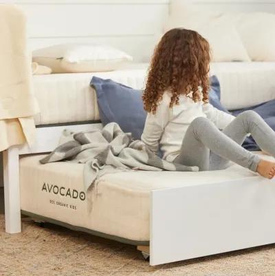 Eco Organic Kids Mattress