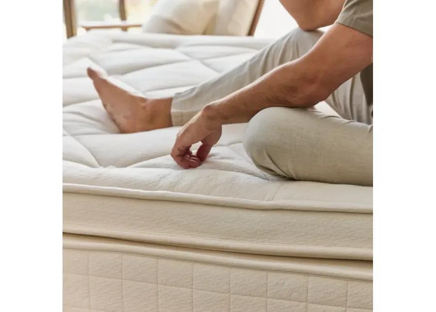 Luxury Organic Mattress