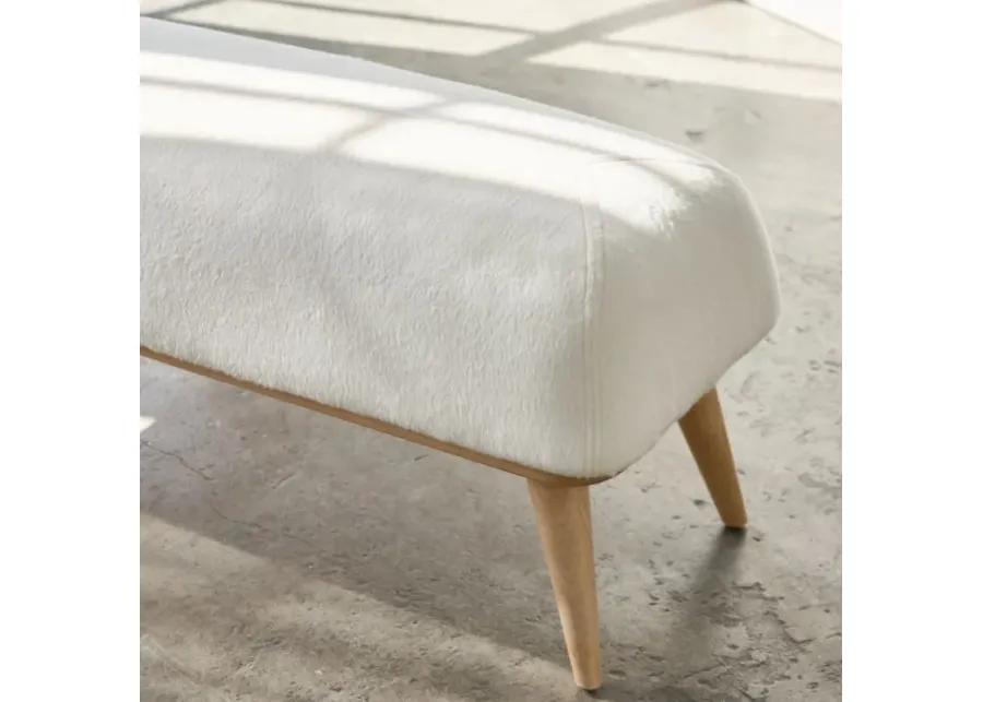 Upholstered Bench