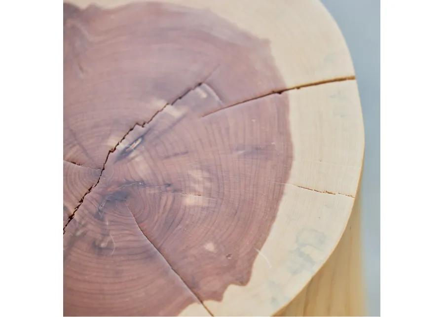 Cedar Stump Side Table