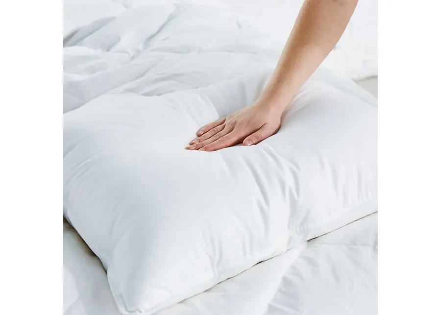 Down Pillow