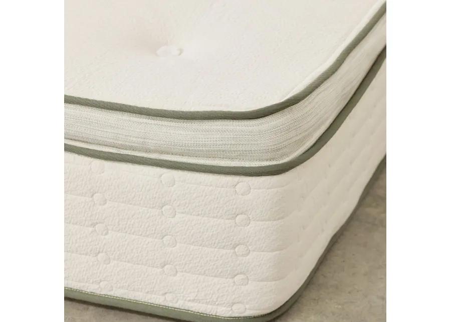 Avocado Green Mattress