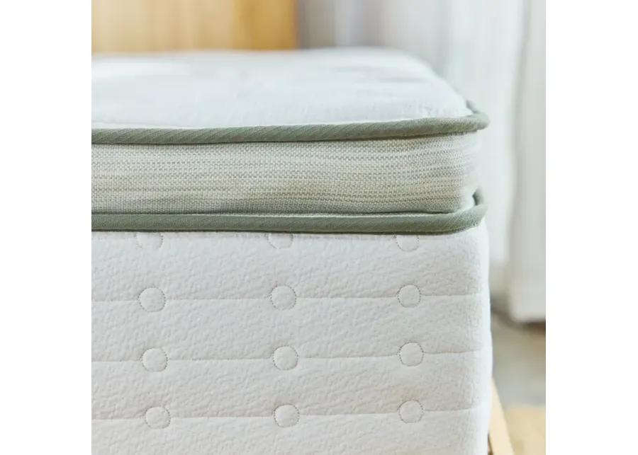 Avocado Green Mattress