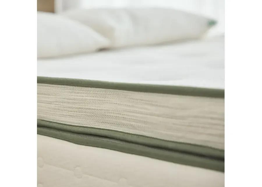 Avocado Green Mattress