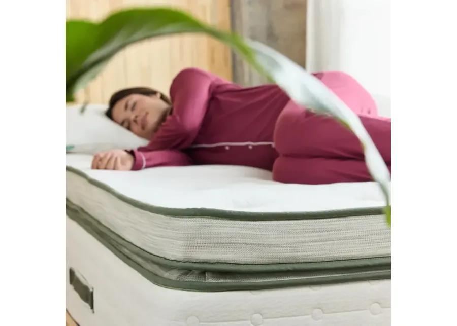 Avocado Green Mattress