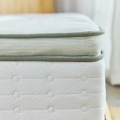 Avocado Green Mattress