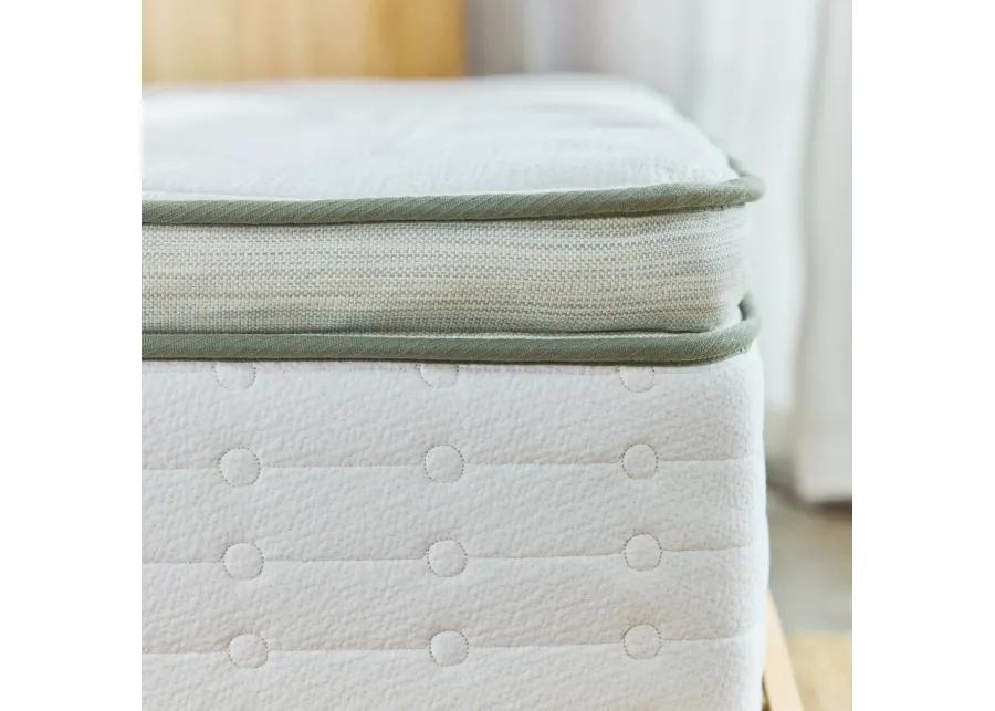 Avocado Green Mattress