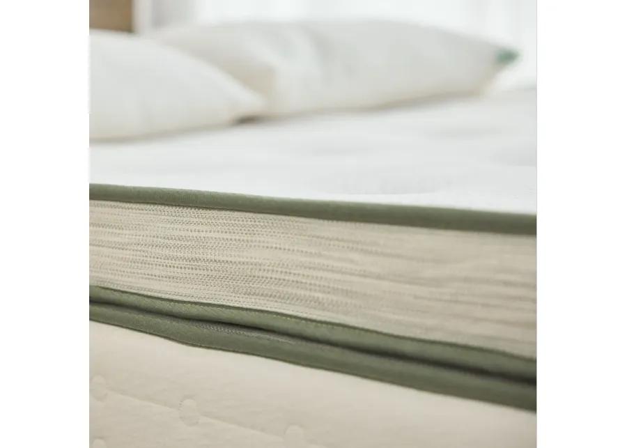 Avocado Green Mattress