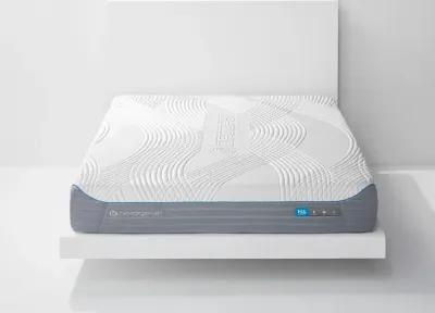 H6 Hybrid Performance® Mattress