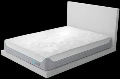 S Performance® Mattress