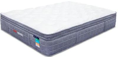 Darlene Box Top 14" Plush Pocket Coil Mattress