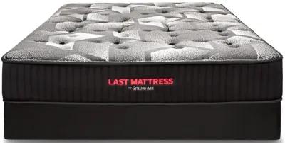 ZEUS MATTRESS (LAST MATTRESS)