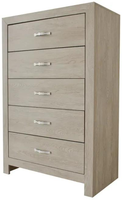 Jaylen - Accent Chest