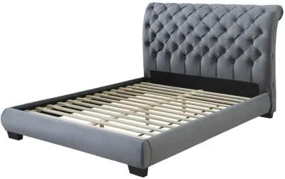 Carly - Upholstered Bed