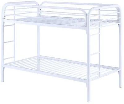 Morgan - Bunk Bed