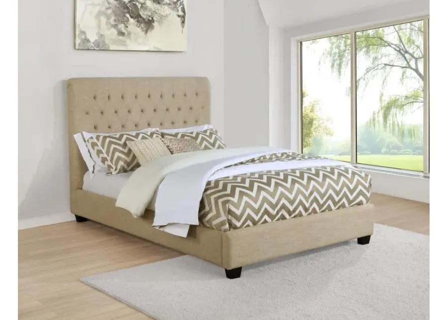 Chloe - Tufted Upholstered Bed