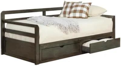 Sorrento - 2-Drawer Twin Daybed With Extension Trundle - Gray