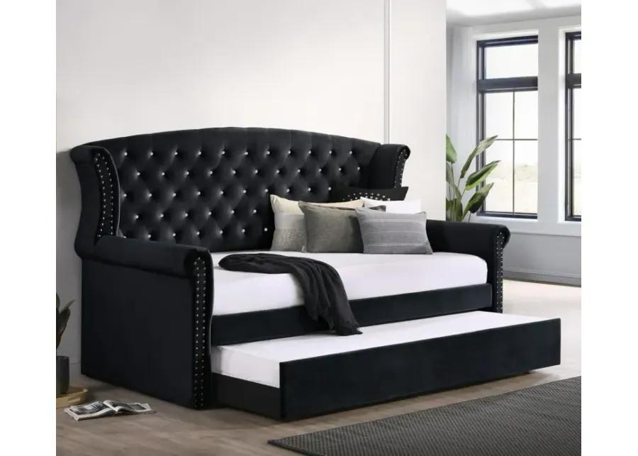 Scarlett - Daybed with Trundle