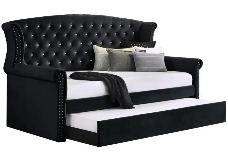 Scarlett - Daybed with Trundle