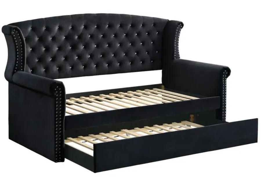 Scarlett - Daybed with Trundle