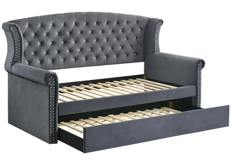 Scarlett - Daybed with Trundle