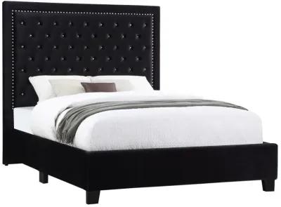 Hailey - Panel Bed