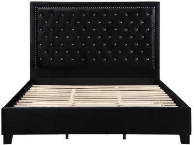 Hailey - Panel Bed