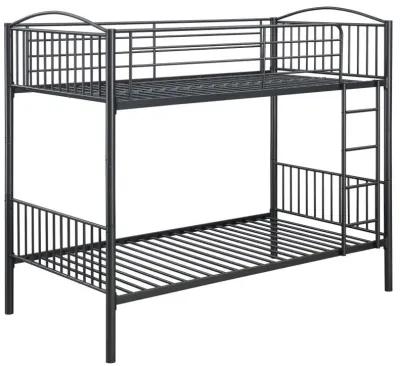 Anson - Bunk Bed With Ladder