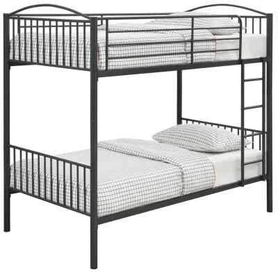 Anson - Bunk Bed With Ladder