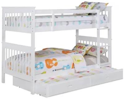 Chapman - Bunk Bed