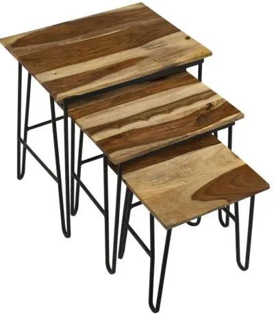 Nayeli - 3 Piece Solid Sheesham Wood Nesting Tables - Natural