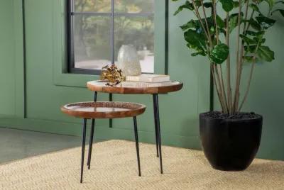 Nuala - 2 Piece Round Mango Wood Nesting Tables - Honey