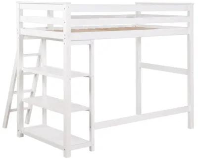 Anica - Workstation Loft Bed