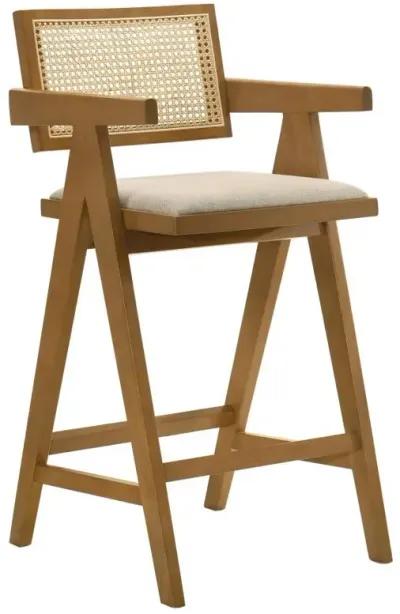 Kane - Woven Rattan Wood Bar Chair (Set of 2) - Light Walnut