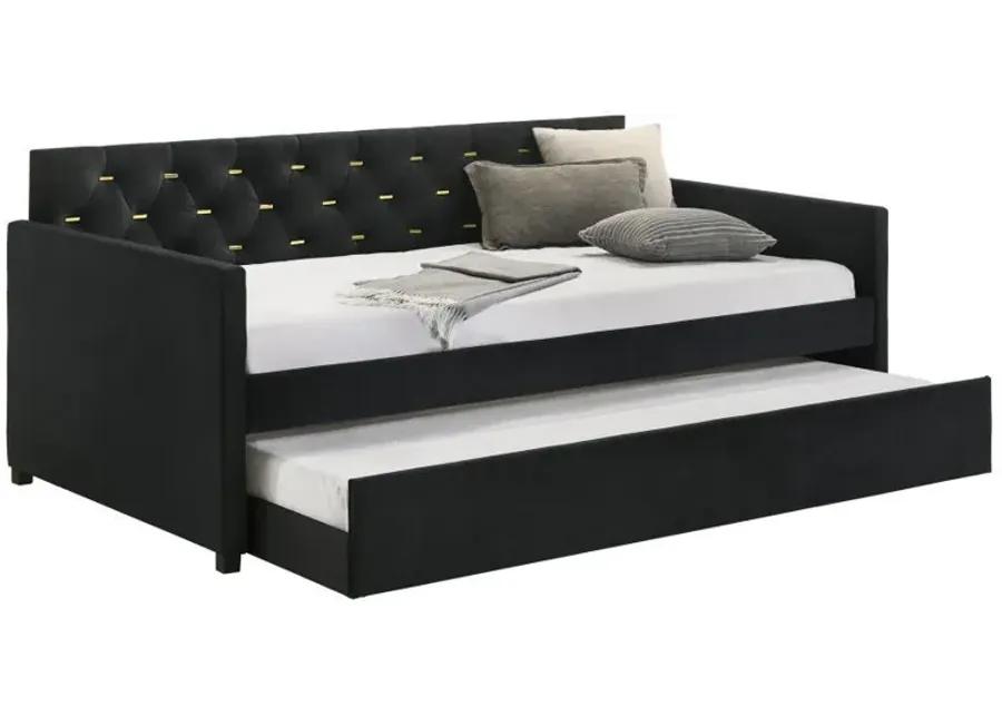 Kendall - Upholstered Tufted Twin Daybed - Black