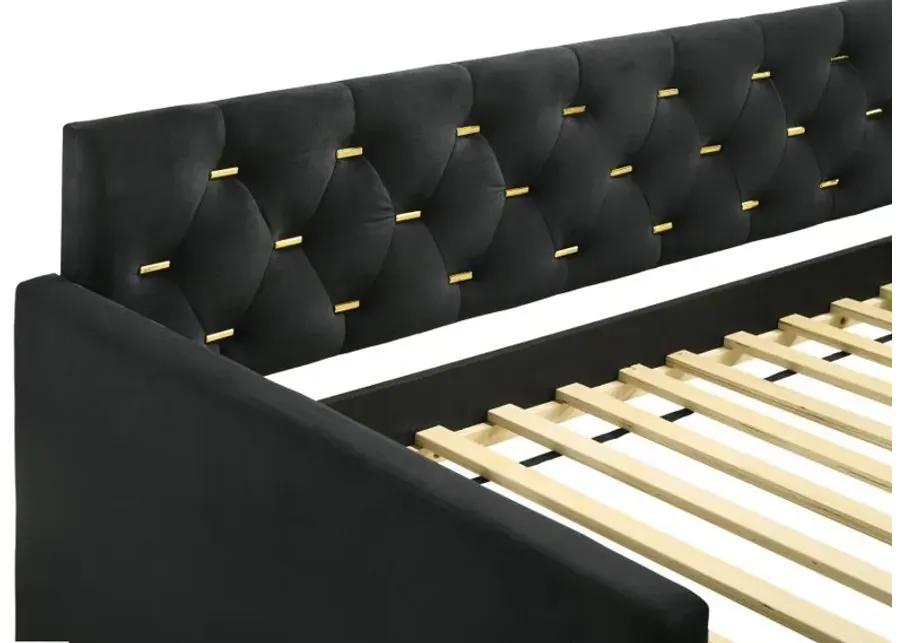 Kendall - Upholstered Tufted Twin Daybed - Black