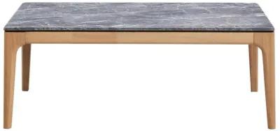 Polaris - Rectangular Smart Top Coffee Table - Gray And Light Oak