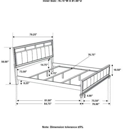 Barzini - Upholstered Panel Bed