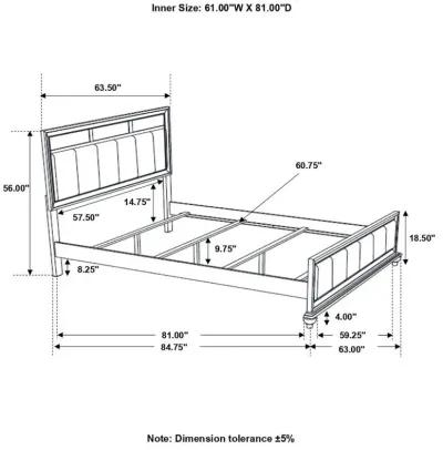 Barzini - Upholstered Panel Bed