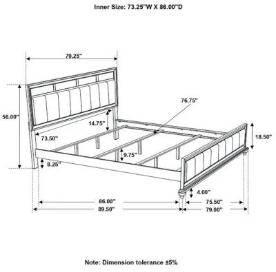 Barzini - Upholstered Panel Bed