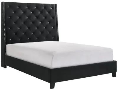 Chantilly - Upholstered Bed