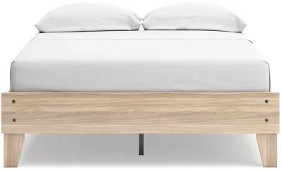 Battelle - Platform Bed