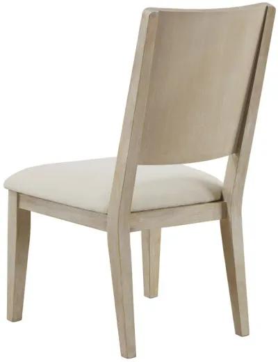 Trofello - Cushioned Dining Side Chair (Set of 2) - White Washed