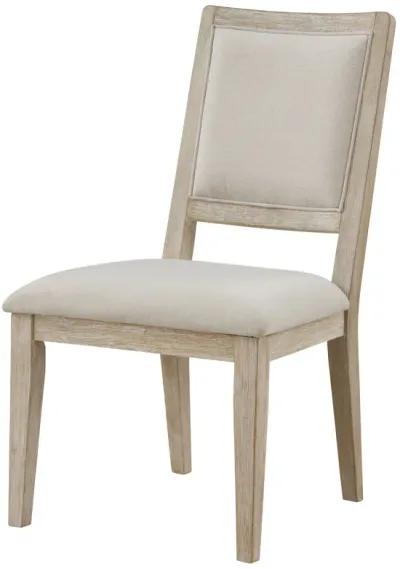 Trofello - Cushioned Dining Side Chair (Set of 2) - White Washed