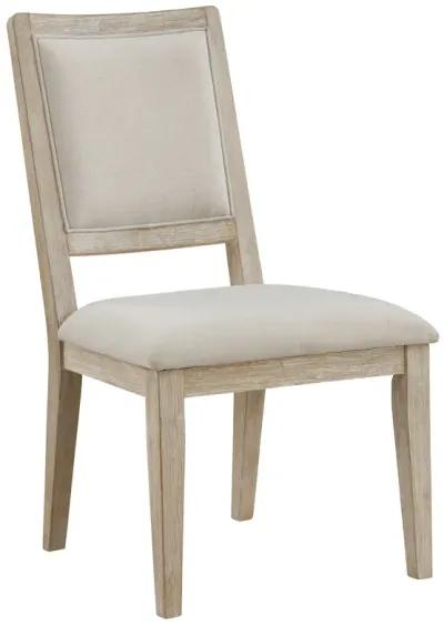 Trofello - Cushioned Dining Side Chair (Set of 2) - White Washed