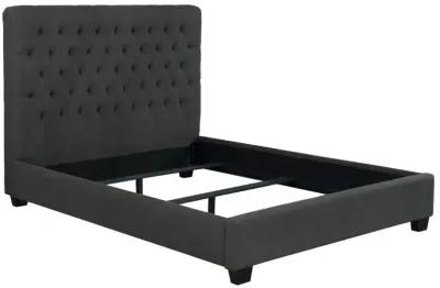 Chloe - Tufted Upholstered Bed