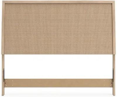 Cielden - Two-Tone - Panel Headboard