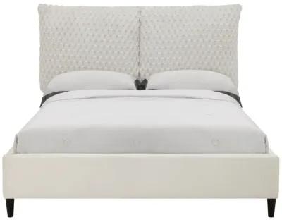 Violet - Queen Bed - White Dove